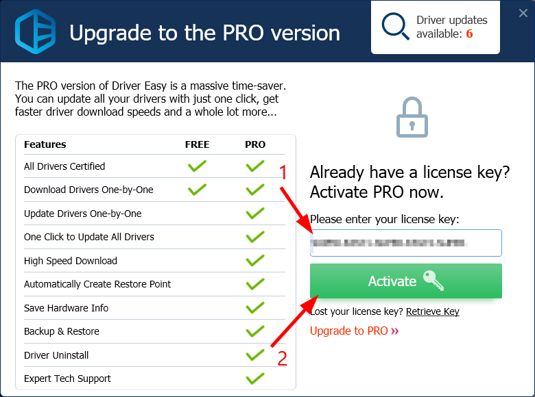 Driver Easy Pro 5 6 11 License Key Free 2019