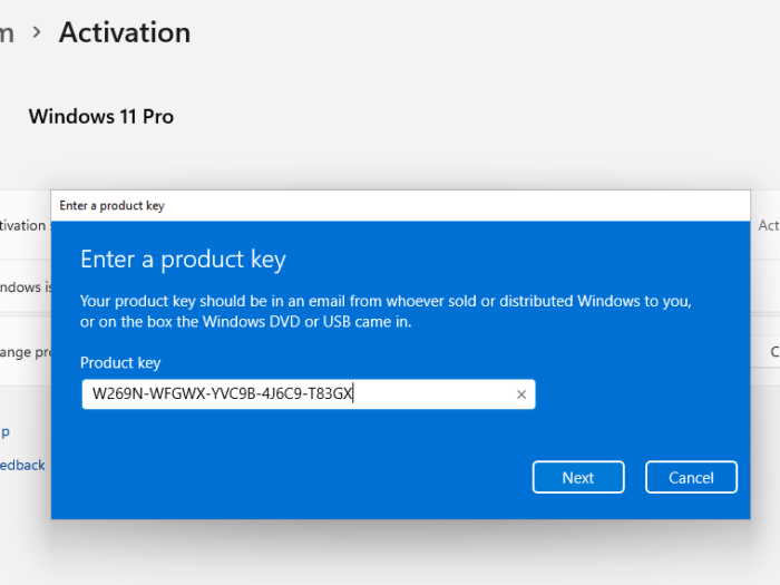 Windows 11 Pro product key free