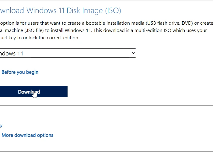 Download Windows 11 ISO (Trial Version)