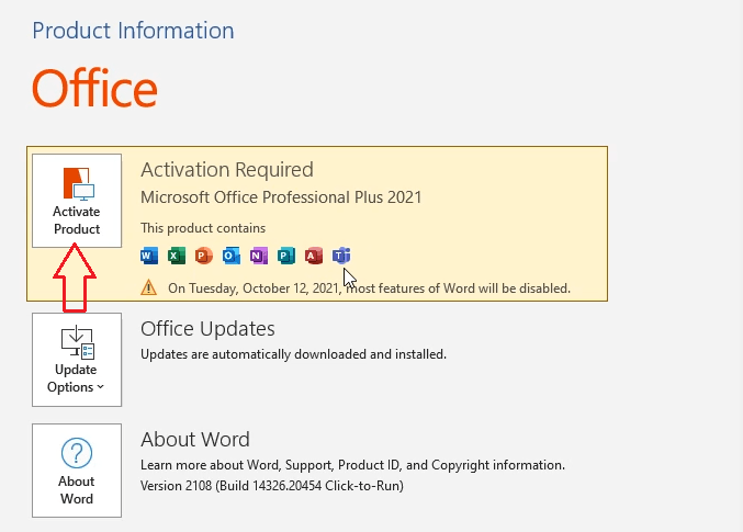 How to activate Microsoft Office Professional Plus 2021