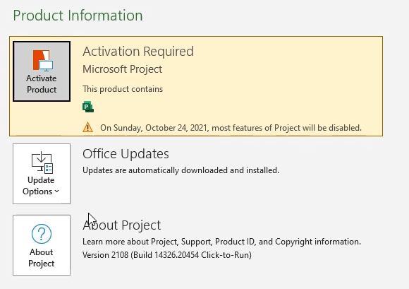 activate Microsoft Project Professional 2021