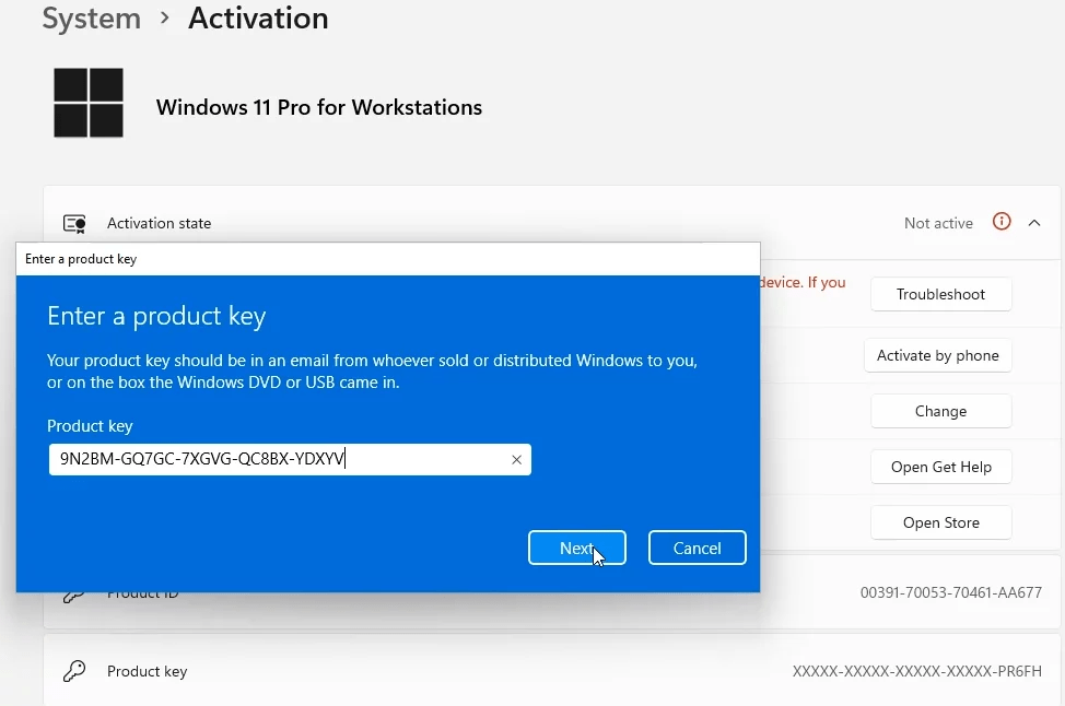Free Windows 11 Pro for Workstations Key